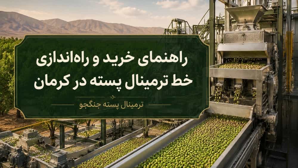 راهنمای خرید و راه‌اندازی خط ترمینال پسته در کرمان
