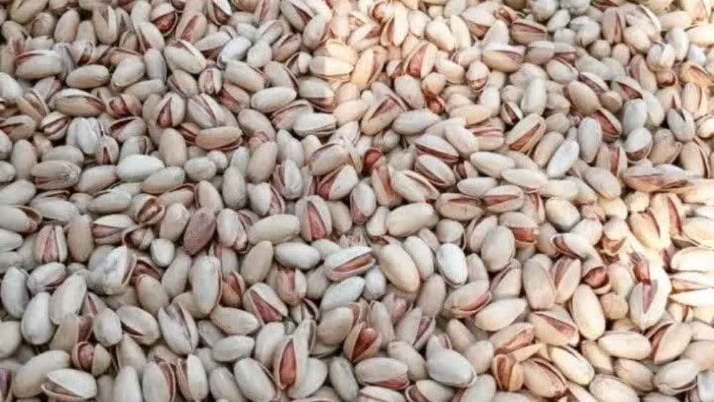 دستگاه نم‌گیر پسته